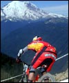 Training Tips