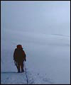 A Season in Denali 2002 Photo