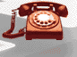Contact Info