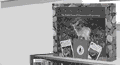 Streaming Audio and Video