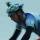 Mt. Bike Videos