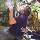 Chris Sharma