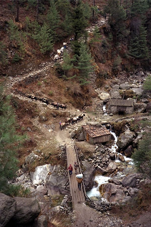 Nepal Trekking Photo