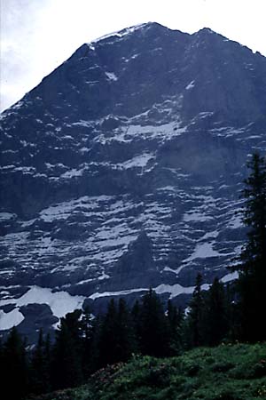 North Face photo