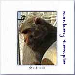Click here to see an enlargement.