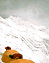 Everest Expedition
