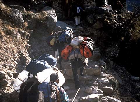 Alpine Ascents International Khumbu Trek