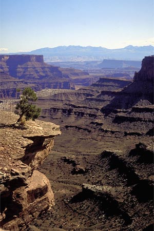 Colorado Plateau Trail Photo