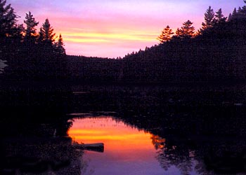 Appalachian Trail photo