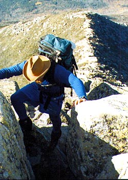 Appalachian Trail photo