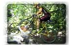 Brett Wolfe Mountain Biking