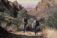 Big Bend NP