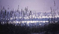Gulf Islands National Seashore