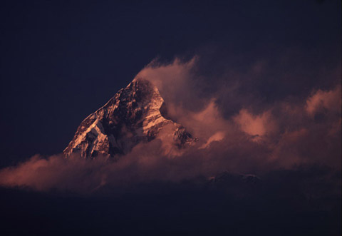 Art Wolfe