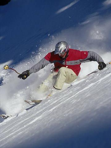 Stephen Matera Photos