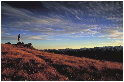 Mike Tittel Photography