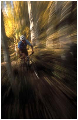 Mike Tittel Photography