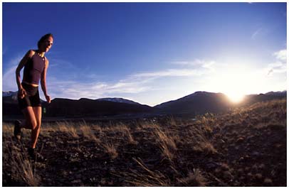 Mike Tittel Photography