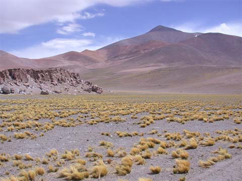 Berg Ojos del Salado and Aconcagua Expedition Photogallery