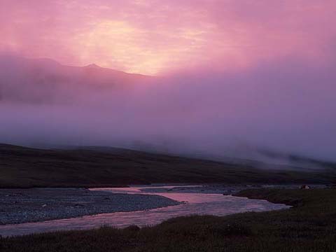 Seth Pollack Photo Gallery