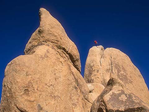 Seth Pollack Photo Gallery