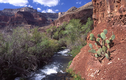 Hiking the Grand Canyon