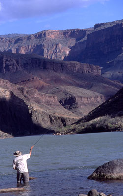 Hiking the Grand Canyon