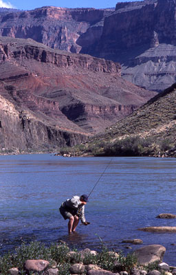 Hiking the Grand Canyon