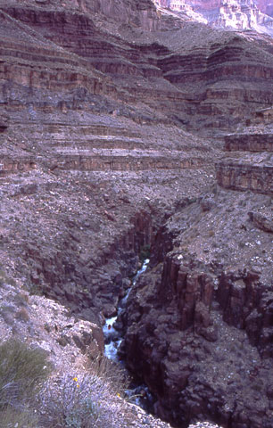 Hiking the Grand Canyon
