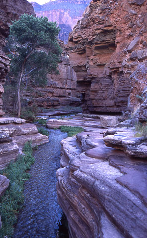 Hiking the Grand Canyon