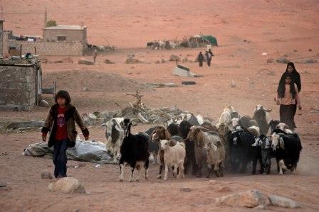 Climbing Jordan's Wadi Rum