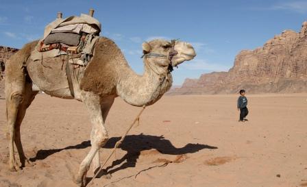 Climbing Jordan's Wadi Rum