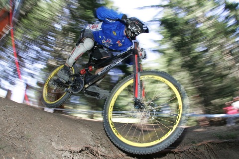 2004 Mountain Biking Word Championships