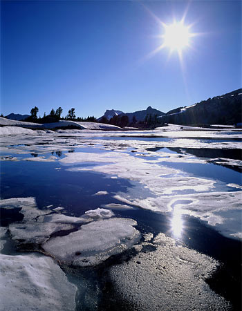 Phil Anderson Photograph
