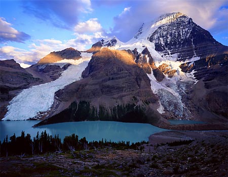 Phil Anderson Photograph
