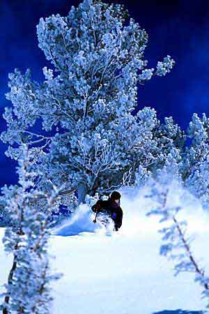 Tomas Annerby Photograph