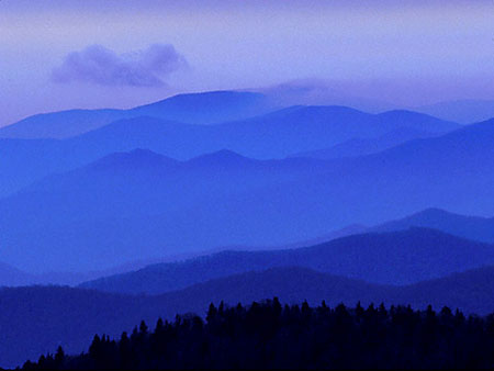 Mark Carroll Photograph