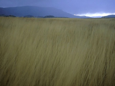 Mark Carroll Photograph