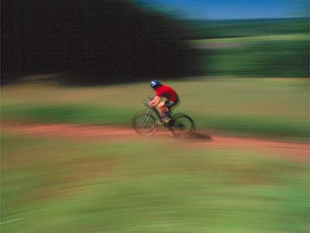 Richard Chittick Photograph