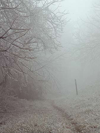 Richard Chittick Photograph