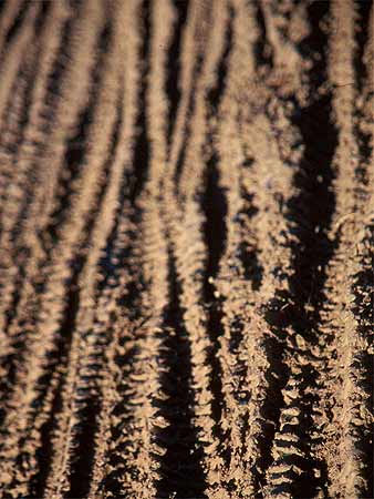 Richard Chittick Photograph