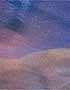 Richard Chittick Photograph