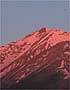 Richard Chittick Photograph