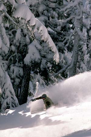 John Grinter Photograph