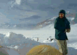 Patagonia