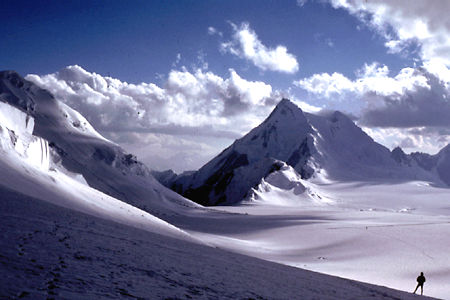 Ace Kvale Image