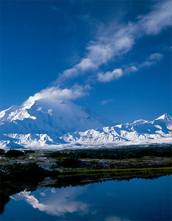 Michael H. Levy Photograph