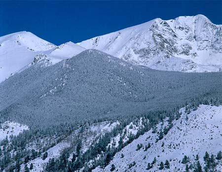 Michael H. Levy Photograph