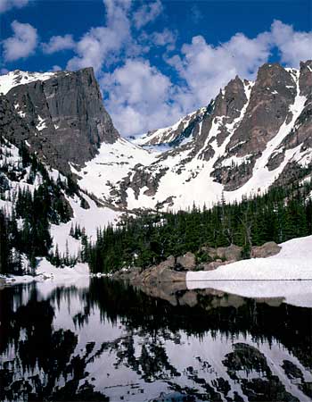 Michael H. Levy Photograph
