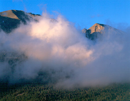 Michael H. Levy Photograph